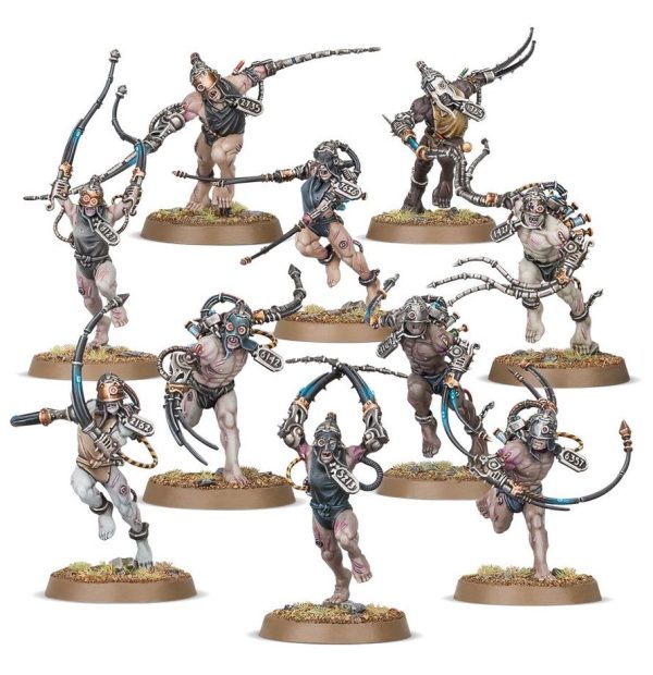 Arcoflagelantes