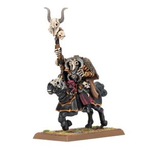 Sorcerer of Chaos on Chaos Steed