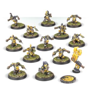 Equipo de Goblins: Scarcrag Snivellers